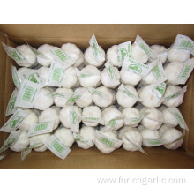 Pure White Garlic Packed In 10kg carton